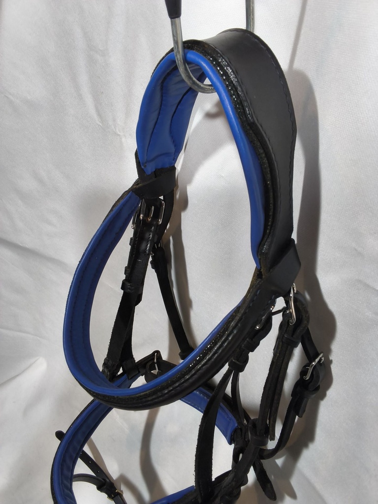 Bridon artisanal noir et bleu roi