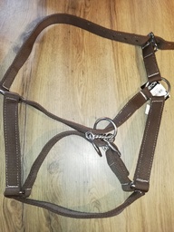 licol nylon renforcé norton