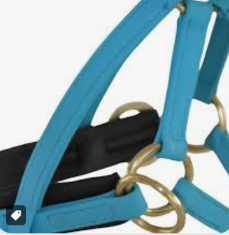 side-pull TdeT biotack avec renes caouctouc ciel cheval