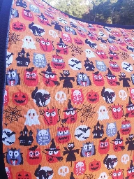 Tapis + bonnet poney dressage halloween
