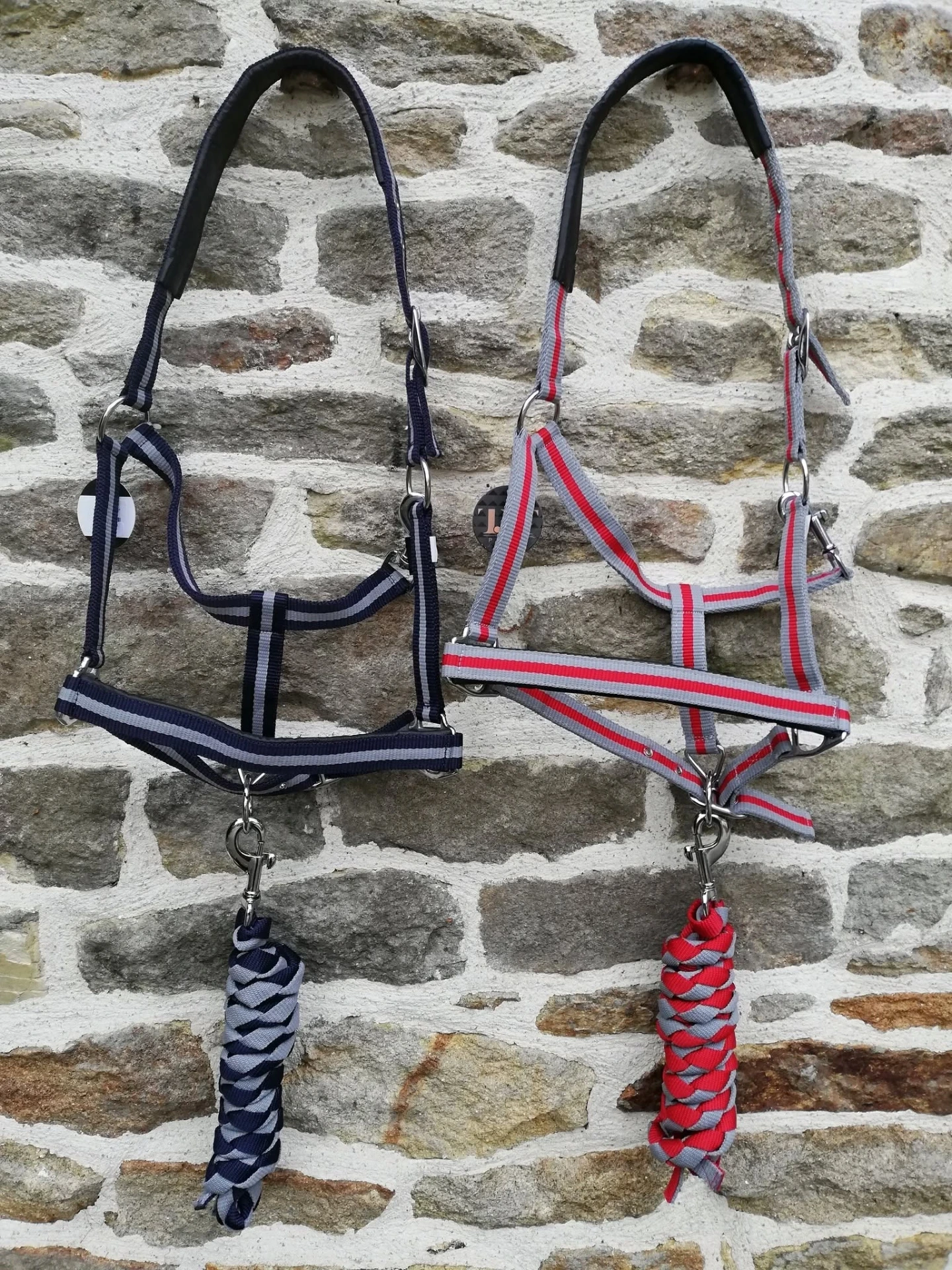 [67231] Licol + longe TdeT doublé caoutchouc (gris/rouge, cheval)