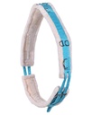 surfaix color QHP turquoise (sky)