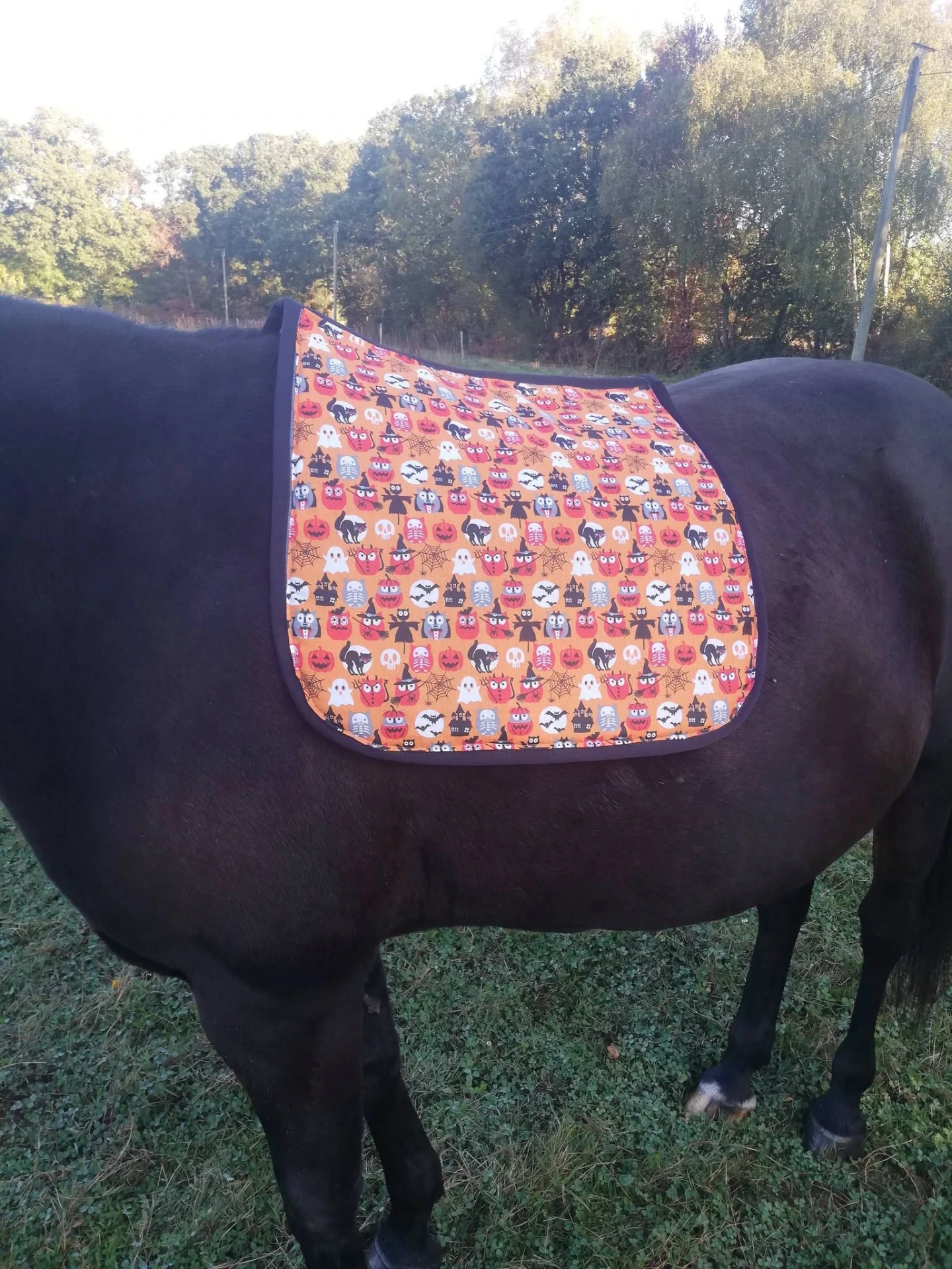 [52690] Tapis + bonnet poney dressage halloween