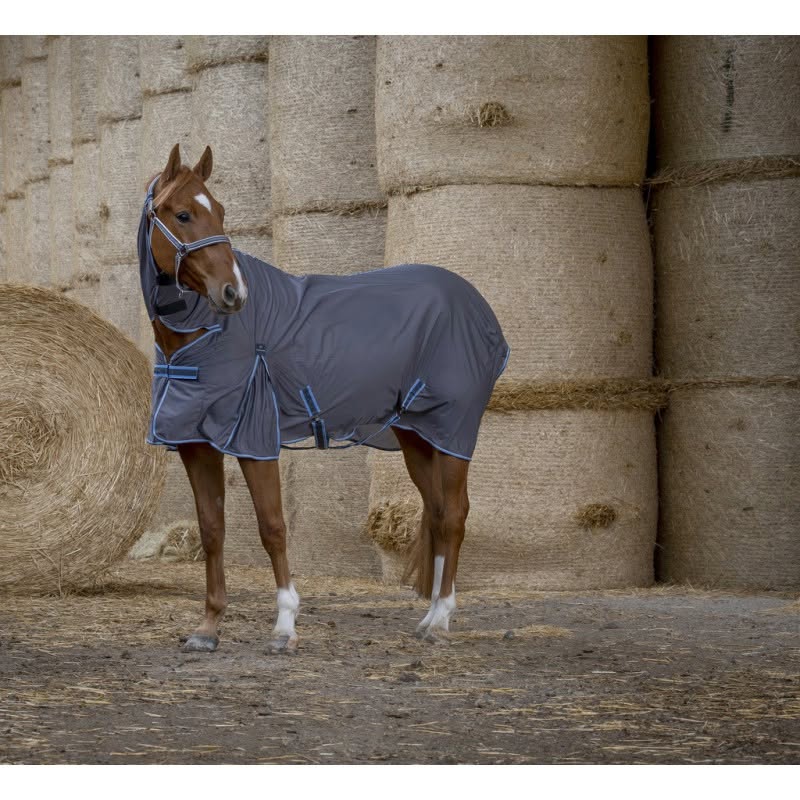 [55252] Chemise EQUITHÈME "Cool Dry" Combo gris 5'3"/115 cm