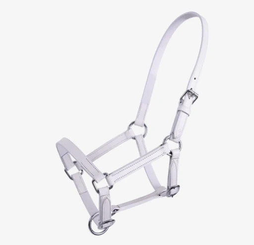 licol cuir poulain QHP chico blanc