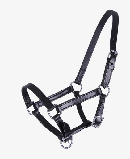 licol cuir poulain QHP chico noir