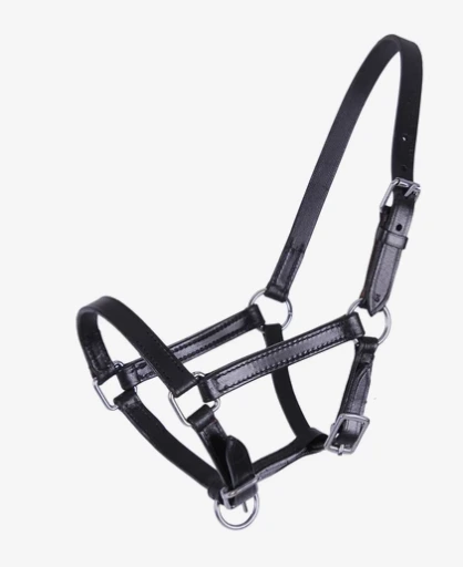 licol cuir poulain QHP chico noir