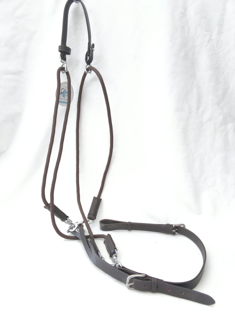 Gogue riding world marron cheval