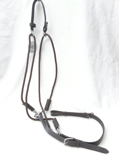 Gogue riding world marron cheval