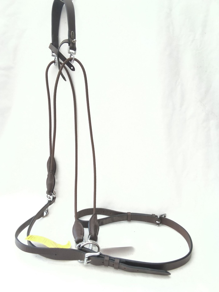 Gogue élastique protanner marron cheval