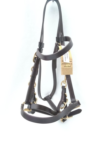 Bridon/licol cuir chetak marron