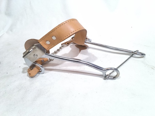 Hackamore cheval grandes branches