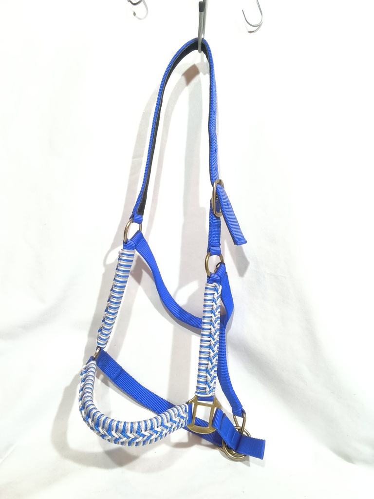 Locol plat tressé esprit ethologie bleu cheval