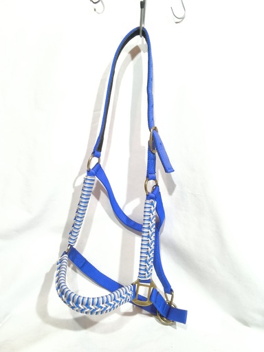 Locol plat tressé esprit ethologie bleu cheval