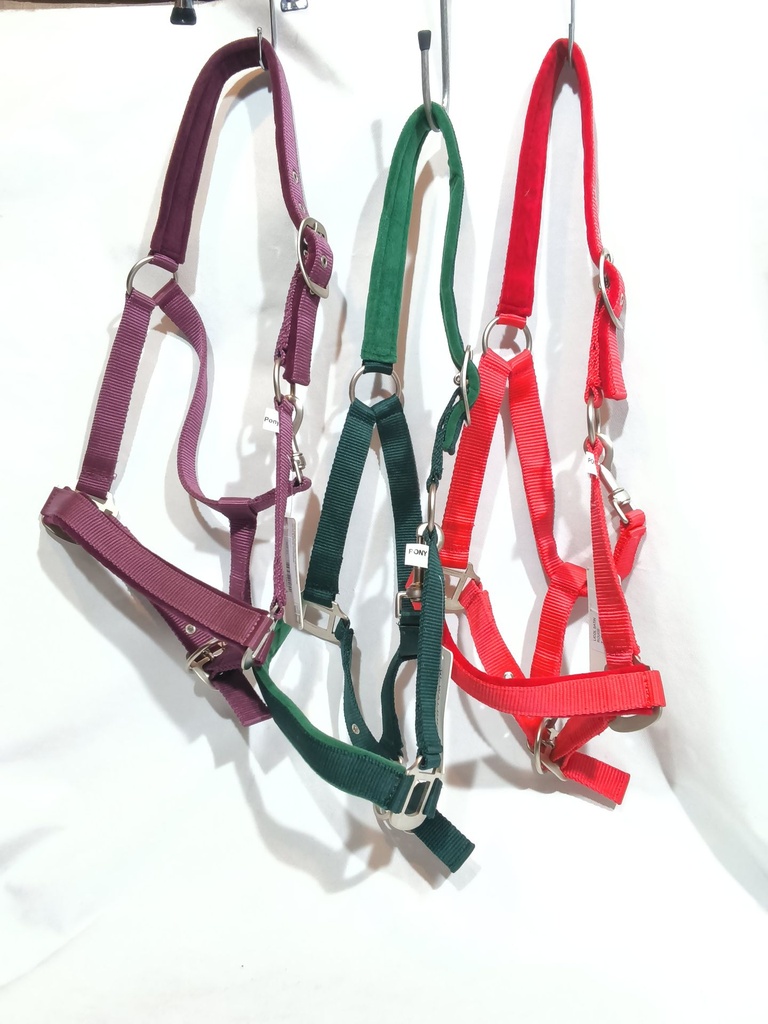 Licol satin waldhausen poney