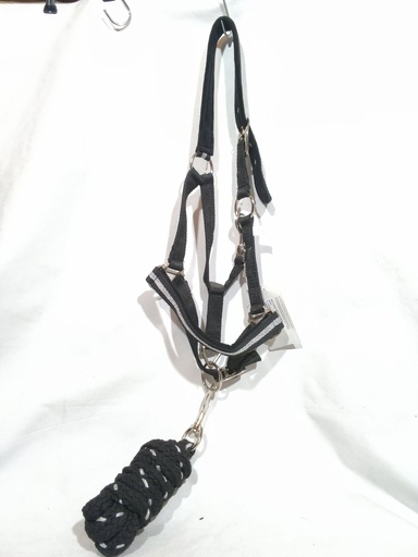 Licol et longe canter noir/argent