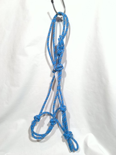 Licol corde waldhausen bleu roi