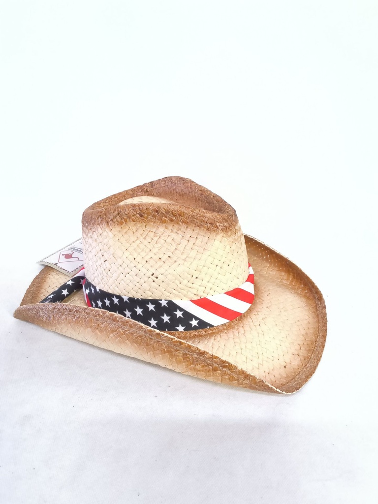 Chapeau paille drapeau américain scippis