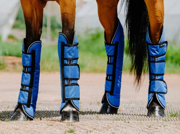 Guêtres de transport EQUITHÈME - TYREX Aisance 1200D Bleu roi Cheval