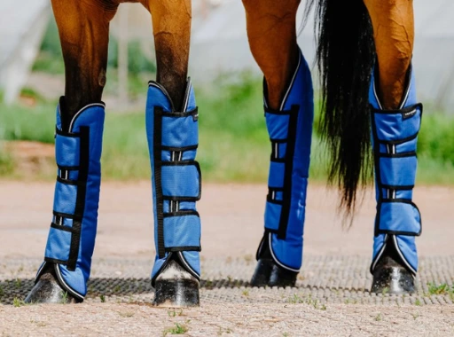 Guêtres de transport EQUITHÈME - TYREX Aisance 1200D Bleu roi Cheval