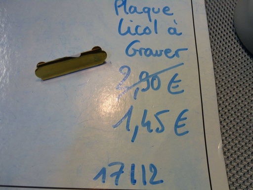 plaque licol doré a graver