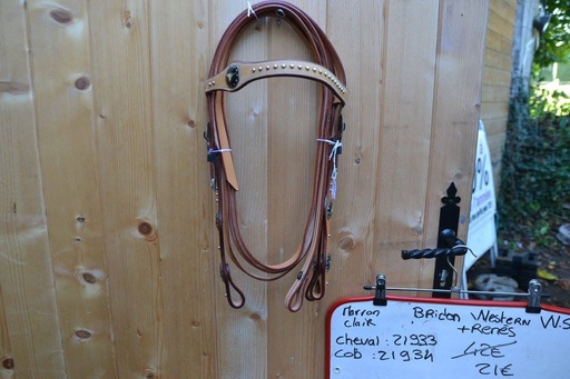bridon renes WS western deco taureau deporté