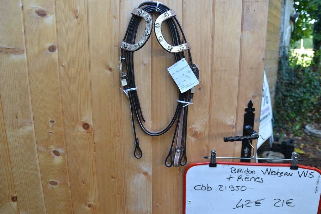 bridon renes WS western marron foncé 2 oreilles cob