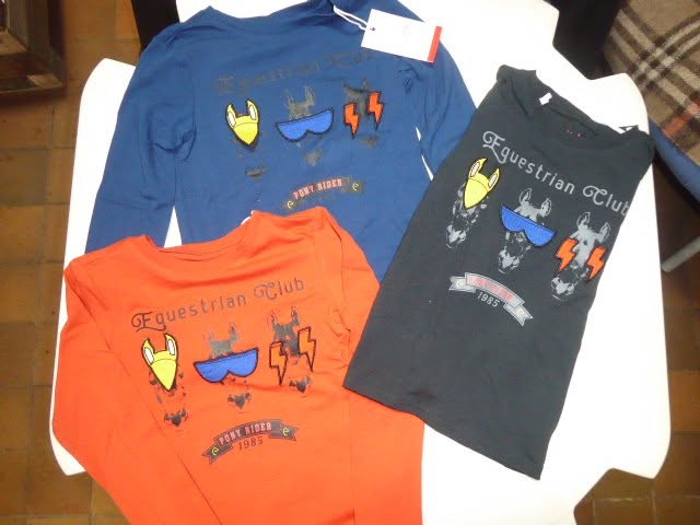 T-shirt equitheme equi-kids « club » manches longues