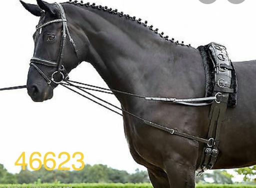 RÈNES TRIANGLE HKM NOIR cheval
