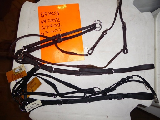 collier chasse privilege equitation