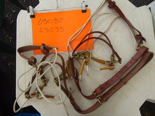 gogue avec fourche cheval