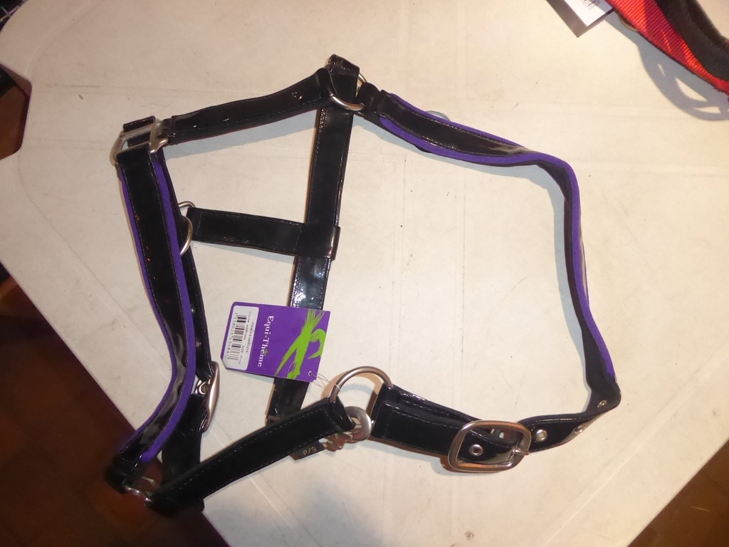 Licol EQUITHEME fashion violet/noir poney