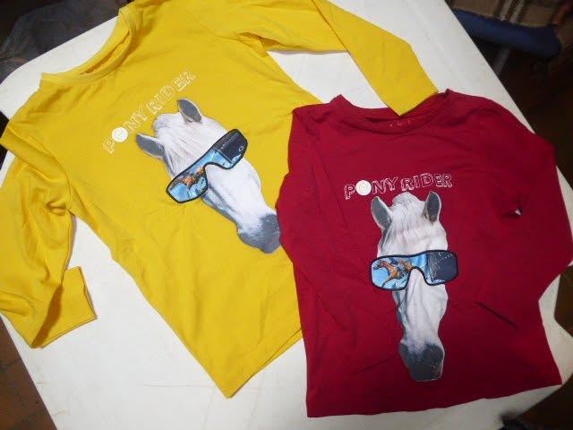 T-shirt equitheme equi-kids «tete cheval lunettes» manches longues
