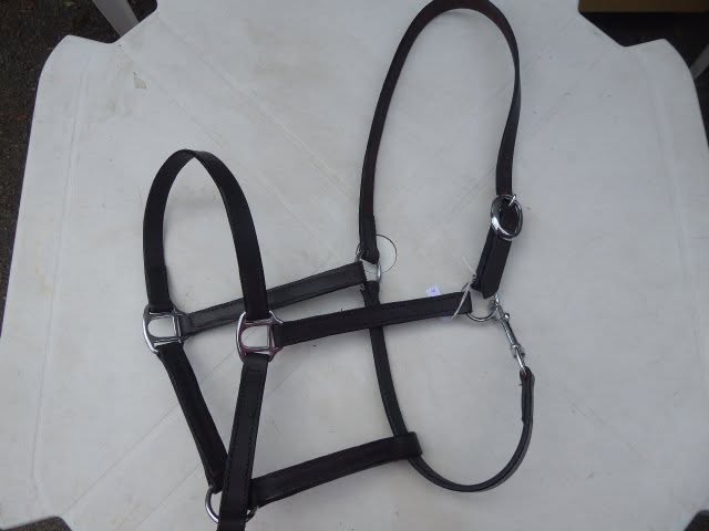 licol cuir basic marron foncé cheval