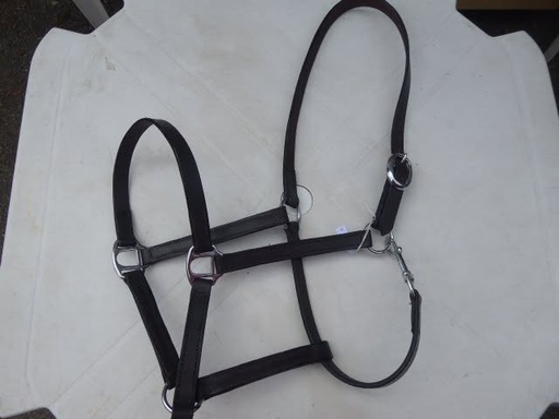 licol cuir basic marron foncé cheval