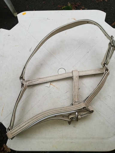 licol cuir blanc cheval