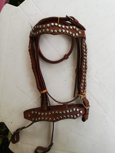 bridon western + renes deco clous marron shetland