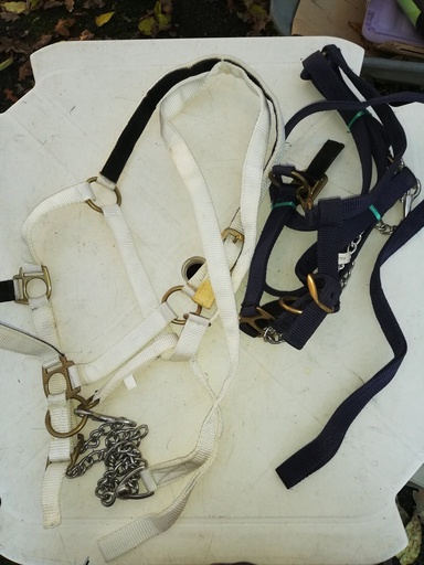 licol presentation + longe nylon blanc cob (taché)