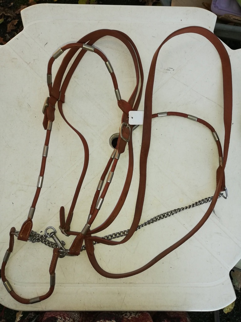licol presentation + longe cuir rond cheval