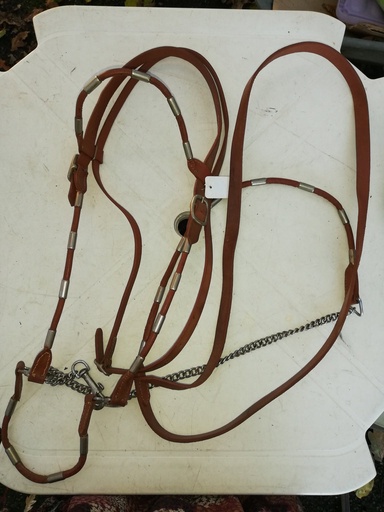 licol presentation + longe cuir rond cheval