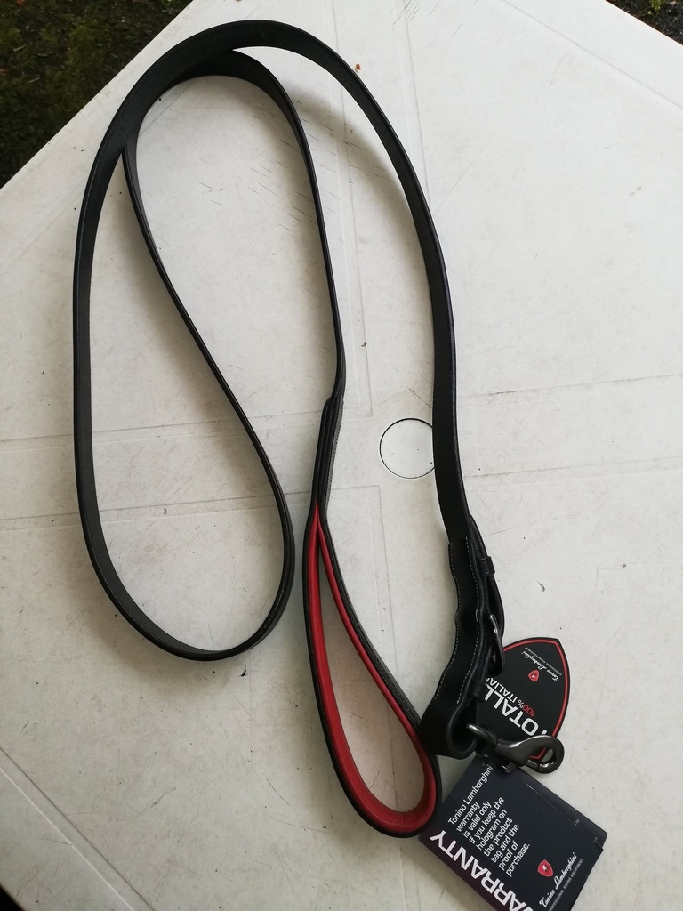 Longe Cuir GP1Tonino Lamborghini