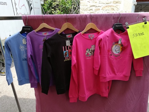 sweat fancy manches longues red horse 162 violet