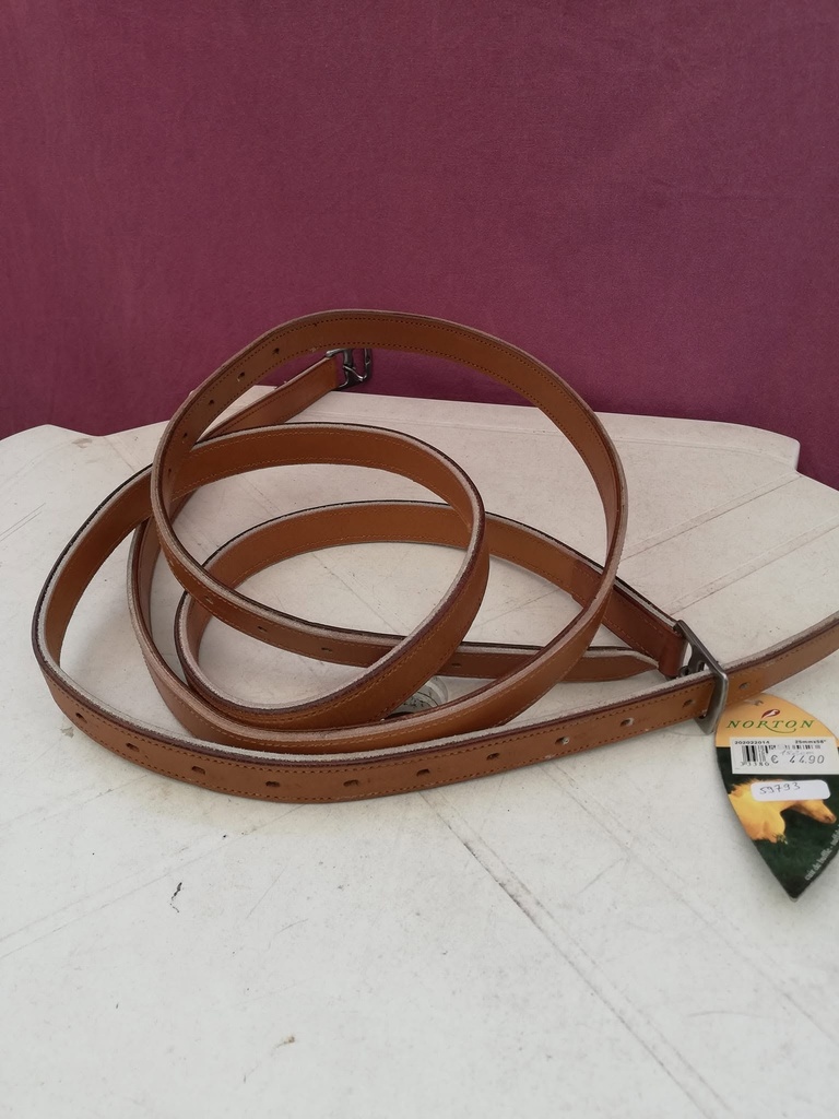 etriviere norton 152 marron