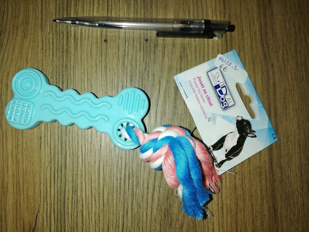os + corde chiot chadog