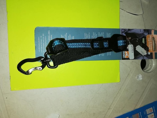 ceinture de securité chien kurgo blue