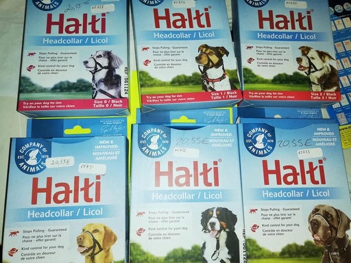 licol chien halti taille 0