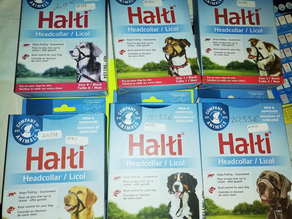licol chien halti taille