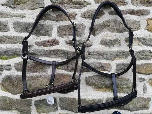 licol cuir paillettes zari noir cheval