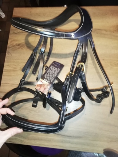 bridon dyon difference noir cheval