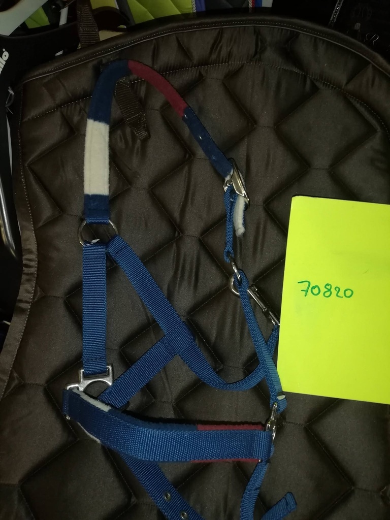licol equitheme stripe bleu poney